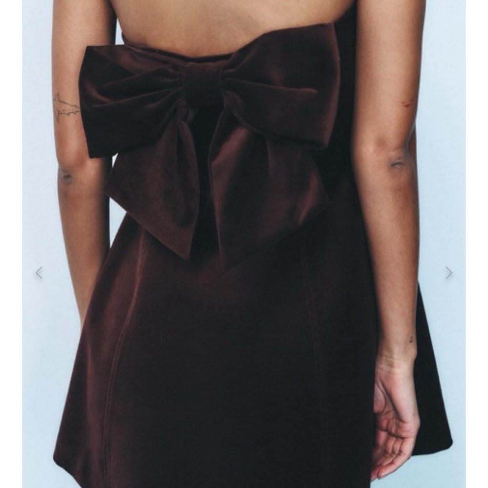 Zara Velvet Bow Dress
